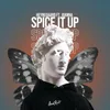 About Spice It Up Song