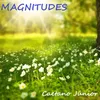 About Magnitudes Song