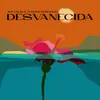 About Desvanecida Song