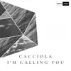 About I'm Calling You Song