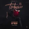 About Mi Tentación Remix Song