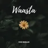About Waasta Song