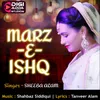 About Marz-E-Ishq Song
