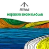 About Meşelidir Engin Dağlar Song