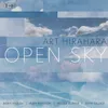 Open Sky