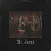 About Mr. Jones Song
