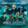 About Sin Ropa Remix Song