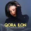 About Qora ilon Song