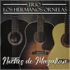 About Noches de Mazatlán Song