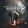 Elephant Radio Edit