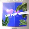 About Sin Por Mas Song