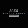 About Nobody Knows Instrumental Song