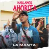 About Hablamos Ahorita Song