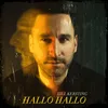 About Hallo Hallo Song