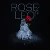 About Rose for Leo Song