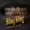 About Bling Bling Song