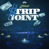 About Strip Joint Song