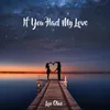 About If You Had My Love Song