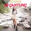 About Digantung Song