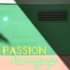 About Passion bronzage Song