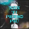 About Non ti vedo più Song