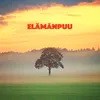 About Elämänpuu Song