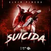 About Suicida Song