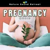 Relax Baby in the Womb - Peaceful Piano Music & Calming Ocean Waves