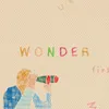 About Wonder Song