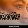 About Bronx River Parkway Instrumental Song