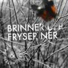 About Brinner upp Fryser ner Song