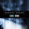 About Nobody Knows Linoh Remix Song