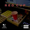 Red Cup BTNZ Remix