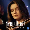 About Vay Vay Dünya Song