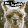 About Jolie blonde Song