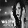 About כוכבי אניס - קאבר Song