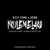 About Nkulemelako Song