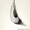 COCOON