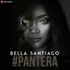 About Pantera Song