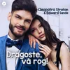 About Dragoste, va rog! Song