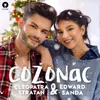 About Cozonac Song