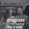 About Dragoste in haine de casa Song