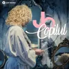 About Copilul Song