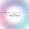 Arde Ringul Dj Magnum and Dj Flipper romanian extended version