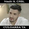 About Culoarea ta Radio Edit Song