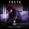 About Fosta greseala Song