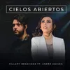 About Cielos Abiertos Song