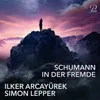 About Liederkreis, Op. 39: I. In der Fremde Song