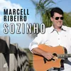 About Sozinho Song