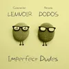 About Imperfect Dudes Song